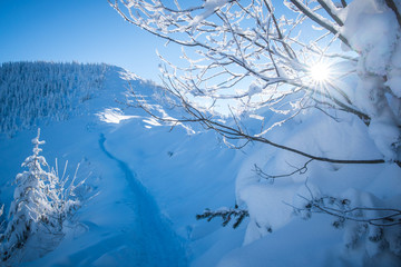 Góry, zima - Tatry 2019 rok © grzegorz_pakula