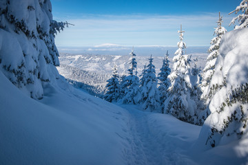 Góry, zima - Tatry 2019 rok © grzegorz_pakula