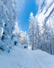Góry, zima - Tatry 2019 rok © grzegorz_pakula