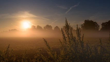 Morgennebel in Ahaus
