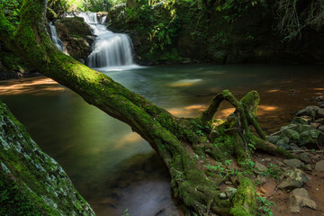 waterfall in forest