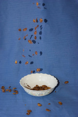 Tasty food in movement