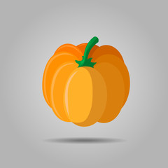 Orange pumpkin vector illustration. Autumn halloween pumpkin, vegetable graphic icon or print, isolated on gray background.
