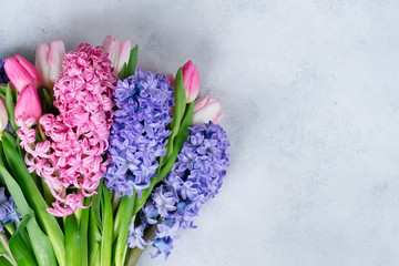Hyacinth fresh flowers