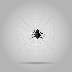 Vector illustration of Scary hairy black spider on web