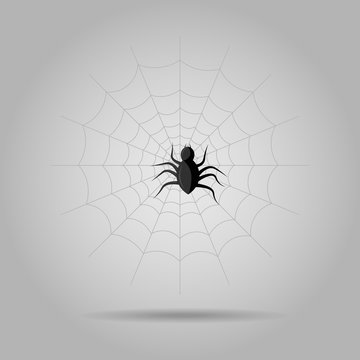 Vector illustration of Scary hairy black spider on web