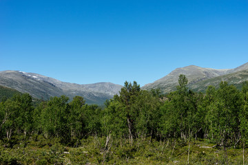 Landschaft im Skanmsdalsvegen  im Dovrefjell