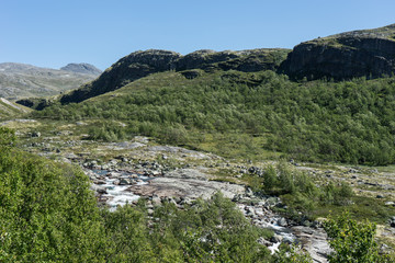 Fototapeta na wymiar Landschaft im Skanmsdalsvegen im Dovrefjell