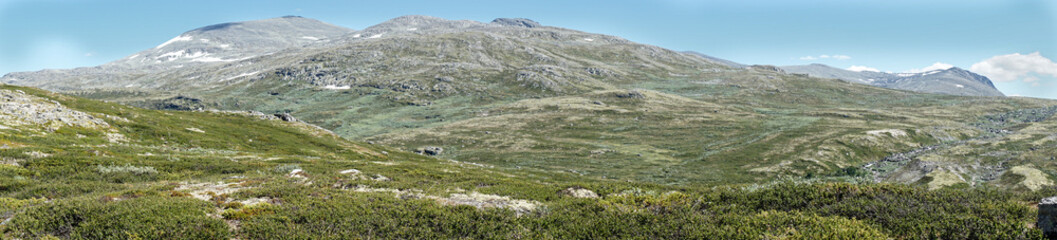Fototapeta na wymiar Landschaftpanorama im Skanmsdalsvegen im Dovrefjell
