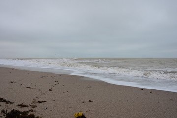 Winter sea and the beach in shades of creme brulee