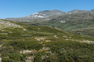 Fototapeta premium Landschaft im Skanmsdalsvegen im Dovrefjell