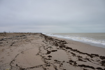 Winter sea and the beach in shades of creme brulee