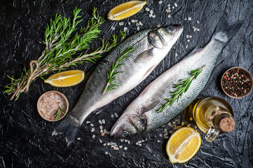 Fresh fish sea bass. Raw sea bass fish with spices and herbs ingredients on concrete. 
