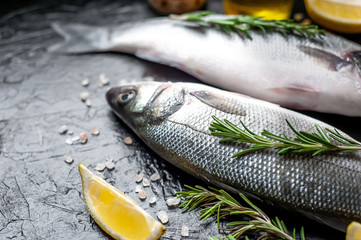 Fresh fish sea bass. Raw sea bass fish with spices and herbs ingredients on concrete. 