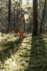 Young woman with long red hair in a linen dress gathering mushrooms in the forest in the bast basket