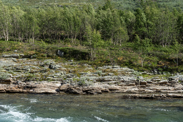 Naklejka na ściany i meble Landschaft im Skanmsdalsvegen im Dovrefjell
