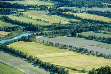 Fototapeta premium Felder und Wiesen im Romsdalen