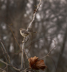 Winter Hues