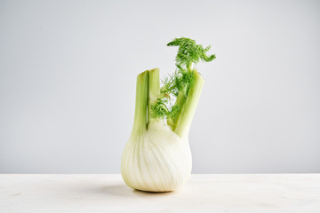 Perfect fresh fennel on light wooden background stands as a tree. Concept of healthy food and nutrition.