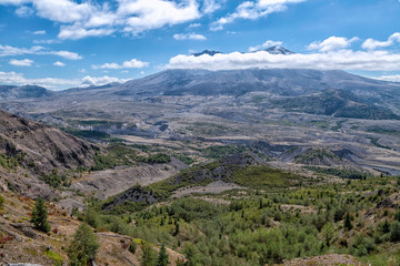 view of Mt. St. Helens