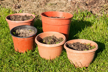 Big colorful pots on the grass in the garden. Pots filled with earth of garden decoration. Set of five pots of different sizes and shapes.