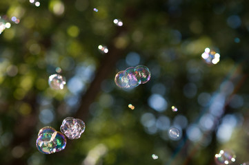 Bubbles