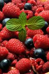 Frutti di bosco ft7105_9250 Waldbeeren Berry Fruta del bosque توت (ثمرة)