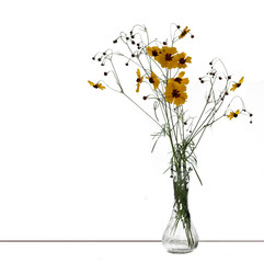 Fototapeta premium Flowers in Glass Vase on White