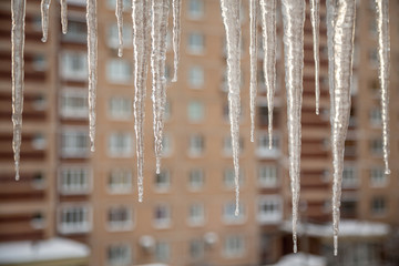 Icicles hang down from the roof edge and thaw from spring heat.