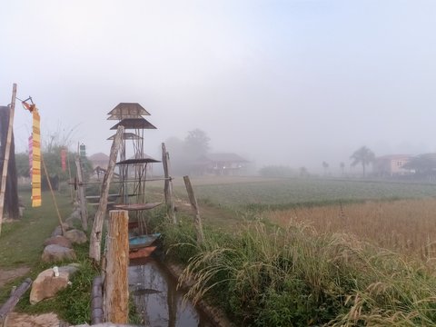 Windmill turbine with morning mist