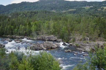 Norway Norwegian River Forest Nature Outdoor Travel