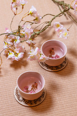 古式なお茶会　Old-fashioned Japanese tea ceremony