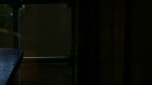 Istanbul Ottoman Molla Celebi Mosque Interior Holy Quran Timelapse