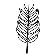 tropical leaf ecology icon