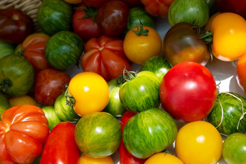 A variety of tomatoes for sale at a market in Nice, France