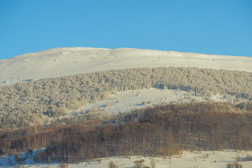 Mountain meadow and forest in a winter scenery. Polonina Carynska. Bieszczady Mountains. Poland