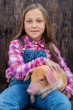 Farmer's children are playing with pig