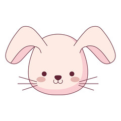cute and little rabbit character
