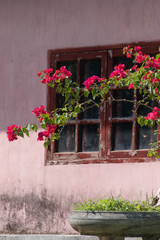 Fototapeta na wymiar Window in Hue