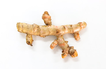 Fototapeta premium Cassumunar ginger Close up