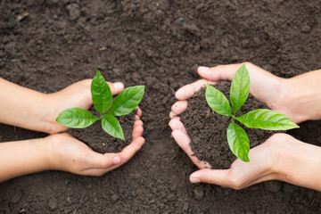 The hands of the woman and child to plant the seedlings in the soil,Seedlings are growing from abundant soil, plant a tree, reduce global warming, World Environment Day ecology concept.