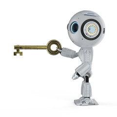 Online security concept