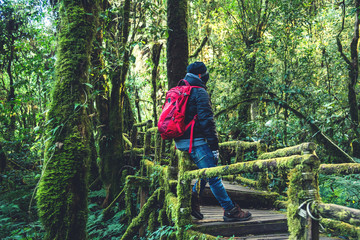Young men travel to study nature in the rainforest. sitting on a bridge with beautiful green moss...