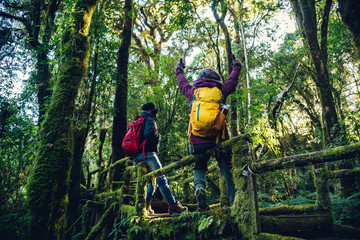 Obraz premium Couples traveling, relax in winter.Enjoy hiking walking travel to study nature in the rainforest. at the angka, Chiangmai