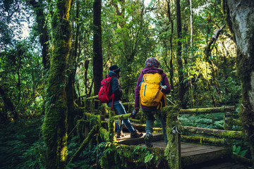 Couples traveling, relax in winter.Enjoy hiking walking travel to study nature in the rainforest. at the angka, Chiangmai