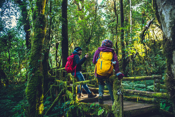 Couples traveling, relax in winter.Enjoy hiking walking travel to study nature in the rainforest. at the angka, Chiangmai