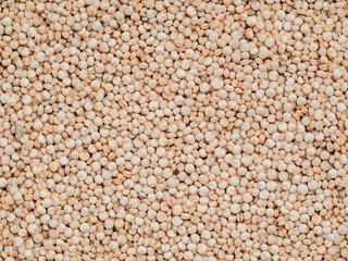 Grain of quinoa. Uncooked raw quinoa as background. Healthy vegan food concept and pattern