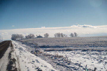 Farmhouse by roadside with trees all around it