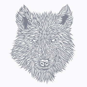 Wolf drawn in detail. Original vector illustration