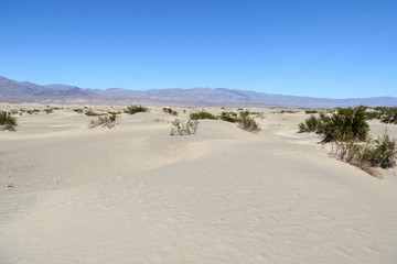 Fototapeta na wymiar Sand dunes in the Death Valley National Park, California, USA